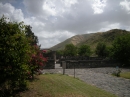 Gadarene