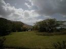 Gadarene